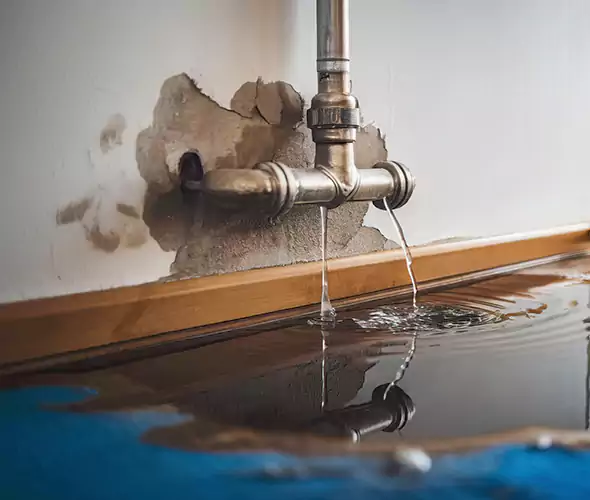 Professional Water Damage Restoration Experts in Escondido, CA — Fast, Reliable & Certified