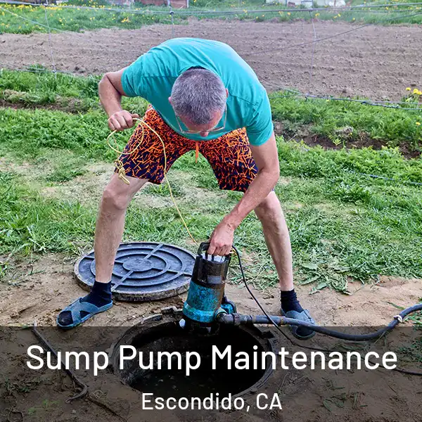  Sump Pump Maintenance Escondido, CA