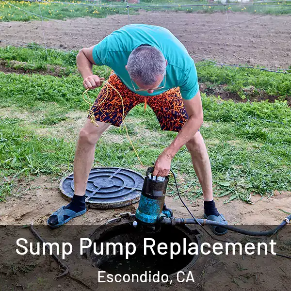 Sump Pump Replacement Escondido, CA