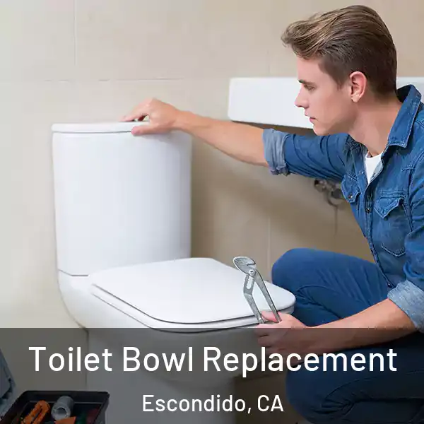  Toilet Bowl Replacement Escondido, CA