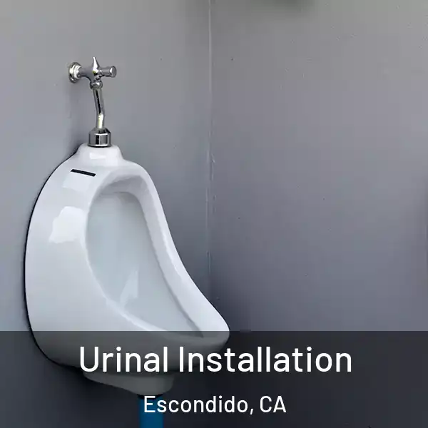  Urinal Installation Escondido, CA
